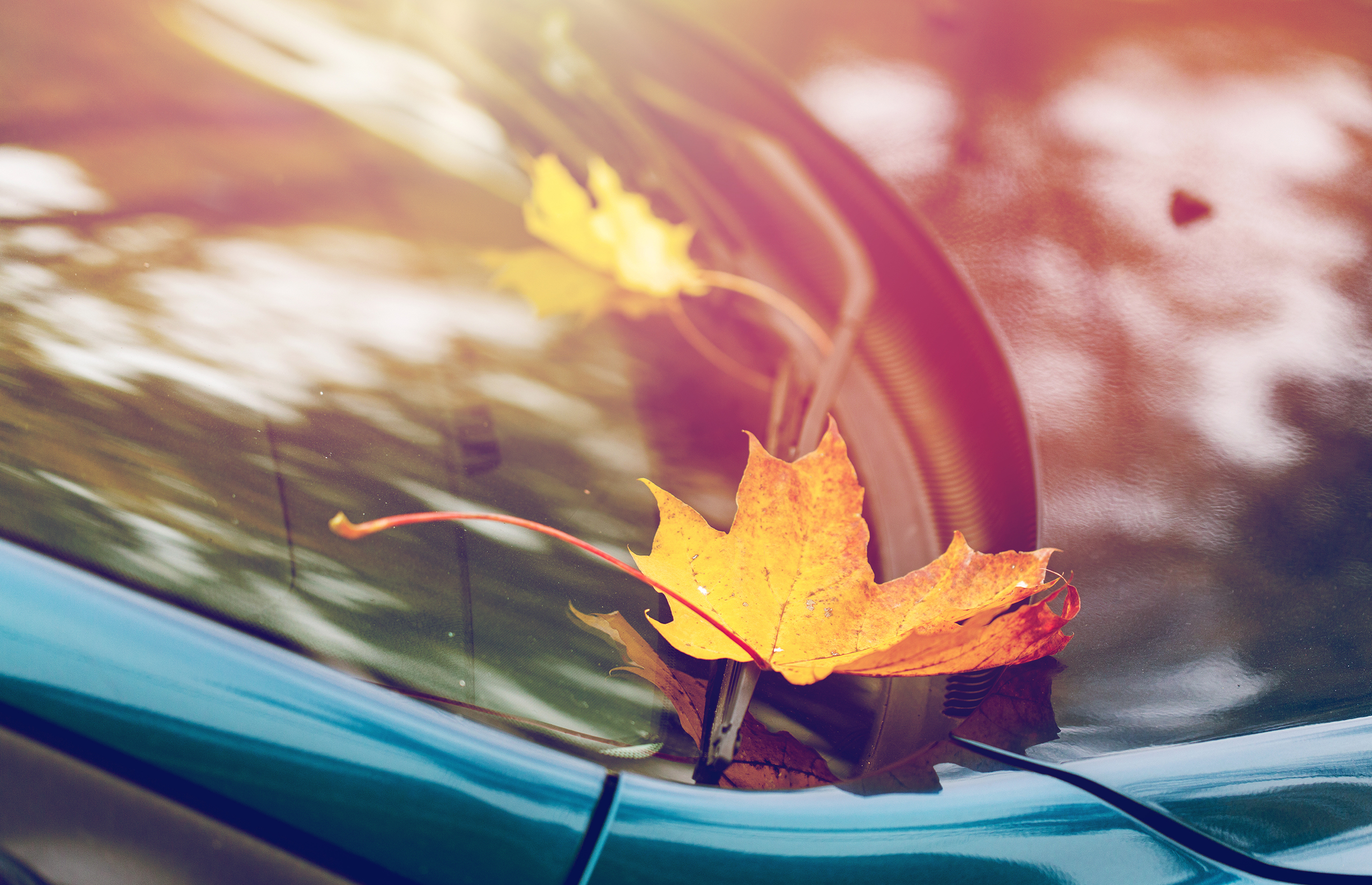 Auto Body Repair and Maintenance Tips for Fall
